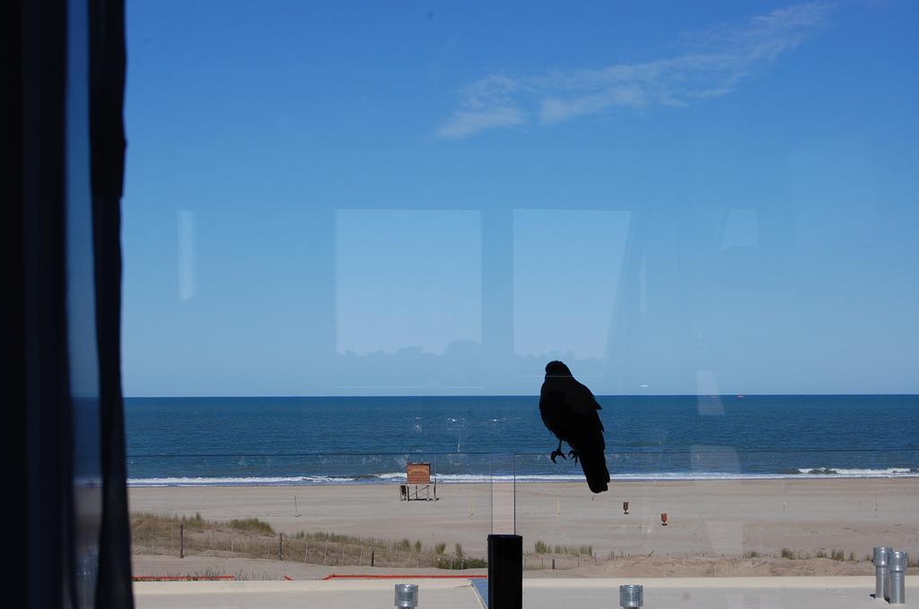 Linda Bay Playa Daire Mar de Las Pampas Dış mekan fotoğraf